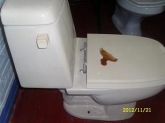 Vazo sanitário com caixa de descarga